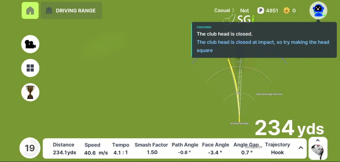 One line of coaching next to the swing